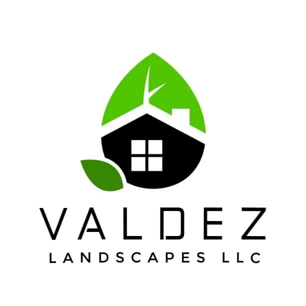 Professional landscape installation for outdoor upgrades in Florissant, MO by Valdez Landscapes