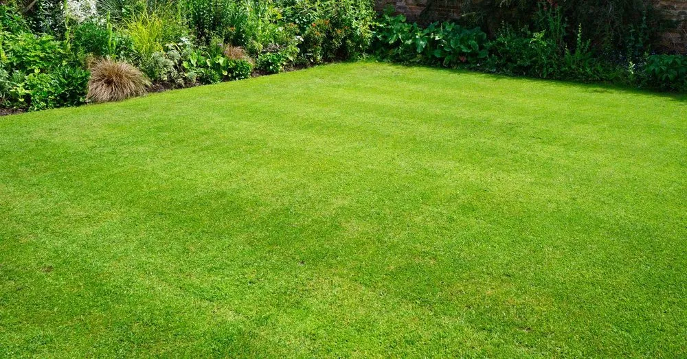 Trusted outdoor landscaping for year-round maintenance in Port St. Lucie, FL by Valdez Landscaping & Lawn Services