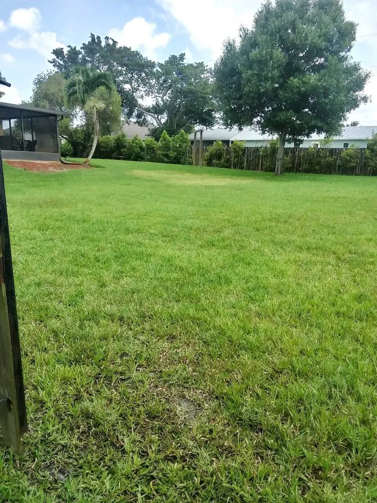 Expert yard maintenance for residential properties in Port St. Lucie, FL by Valdez Landscaping & Lawn Services