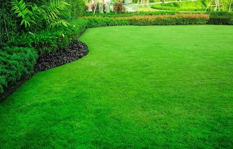 Professional residential landscaping with custom design in Port St. Lucie, FL by Valdez Landscaping & Lawn Services