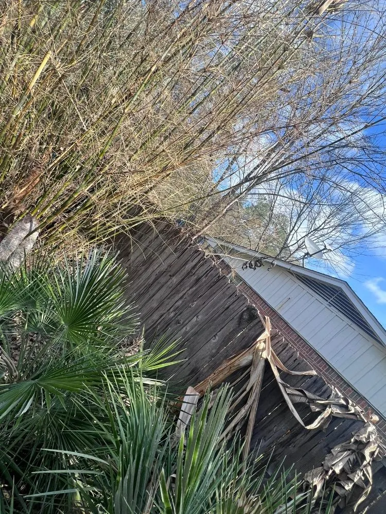 Trusted garden landscaping in Houston, TX - Valdez Landscaping