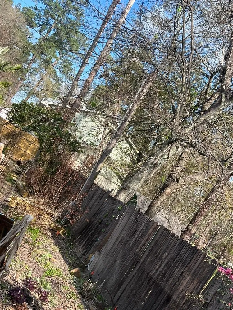 Custom landscape design for homes across Houston, TX - Valdez Landscaping