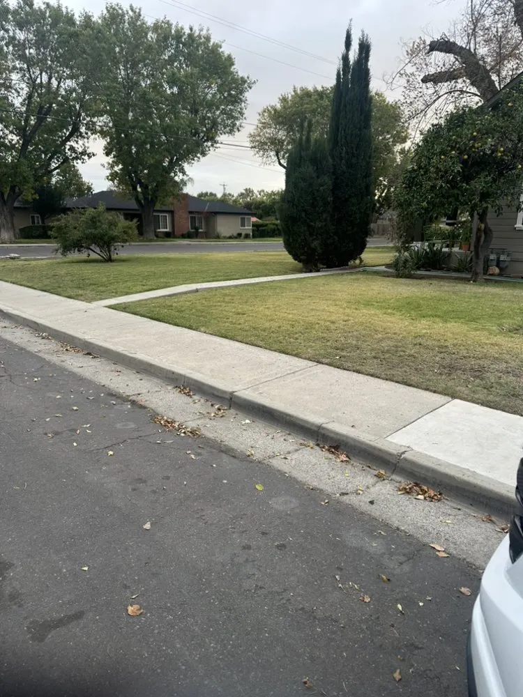 Reliable lawn care service for beautiful yards across LOS BANOS, CA - Valdez Landscaping