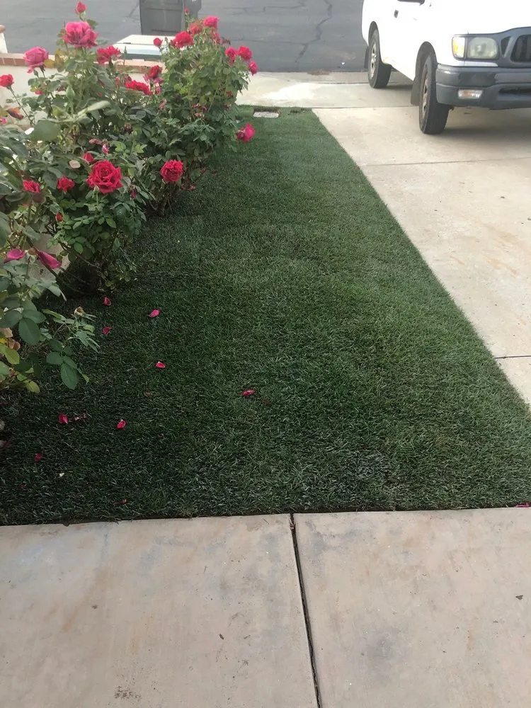 Local landscape installation for year-round maintenance in Murrieta, CA by Valdez Landscaping