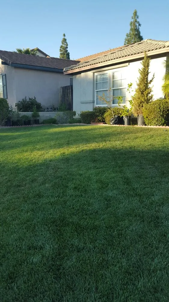 Custom yard cleanup service for outdoor upgrades in Murrieta, CA by Valdez Landscaping