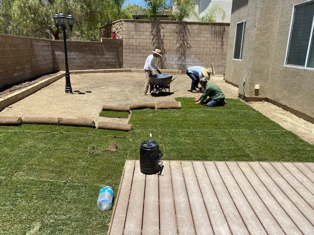 Expert yard cleanup service in Murrieta, CA by Valdez Landscaping