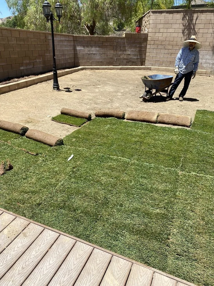 Expert lawn mowing service in Murrieta, CA - Valdez Landscaping