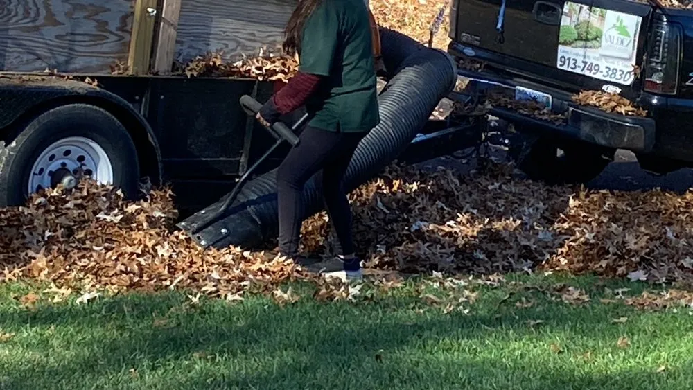 Trusted yard maintenance experts serving Olathe, KS - Valdez Landscaping