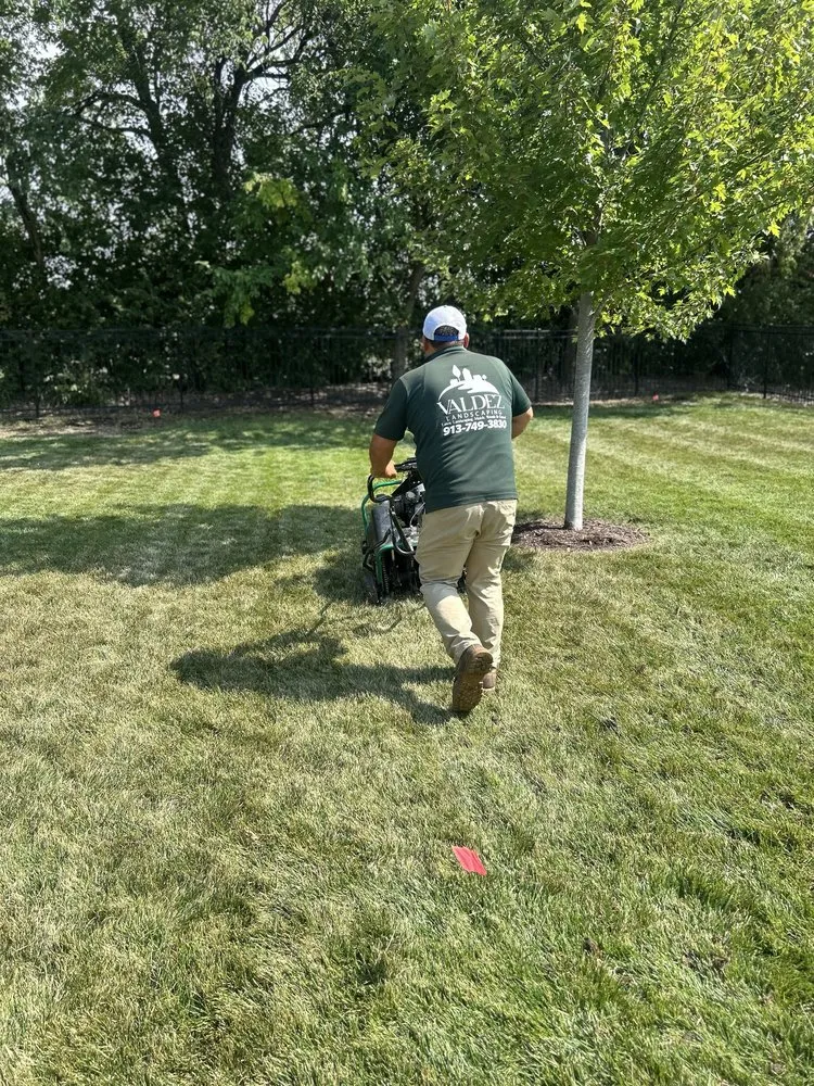 Custom outdoor landscaping in Olathe, KS - Valdez Landscaping