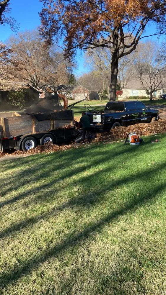 Reliable lawn care service for residential properties in Olathe, KS by Valdez Landscaping