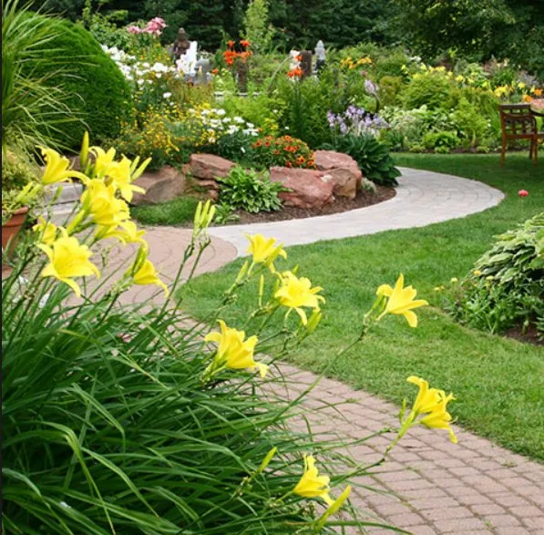 Professional landscape installation for homes in Mars Hill, NC by Valdez Landscaping Services