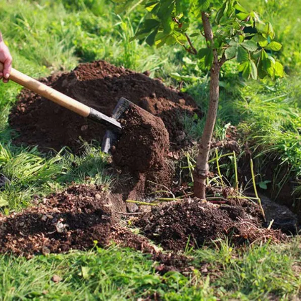 Affordable landscape installation in Mars Hill, NC - Valdez Landscaping Services