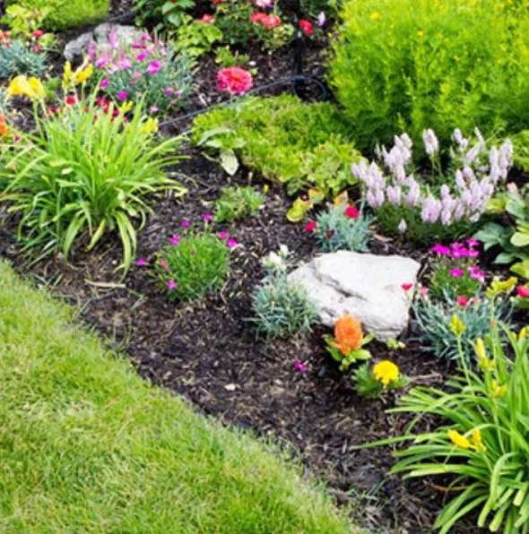 Professional outdoor landscaping experts serving Mars Hill, NC - Valdez Landscaping Services