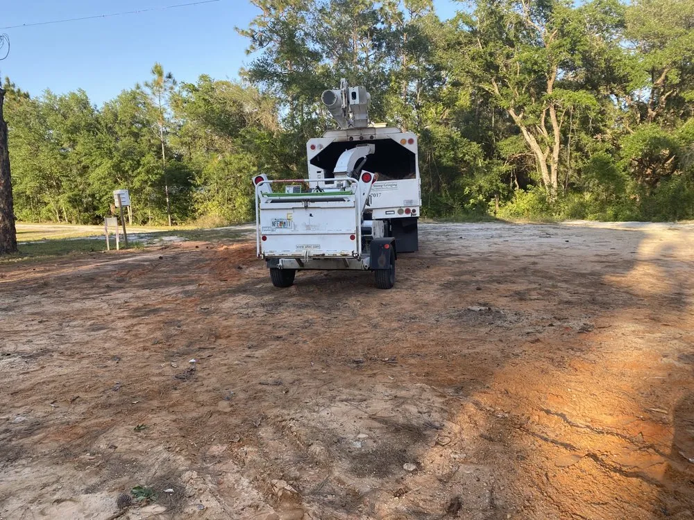 Reliable landscape installation in Frostproof, FL - Valdez Lawn & Tree Service