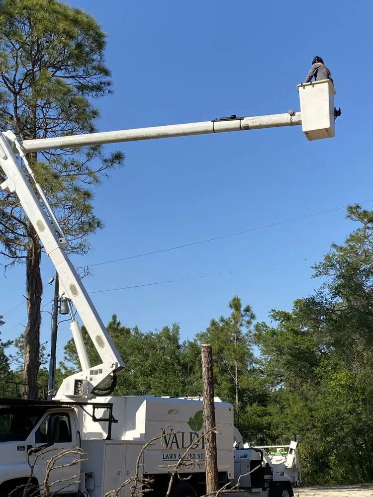 Local outdoor landscaping for beautiful yards across Frostproof, FL - Valdez Lawn & Tree Service