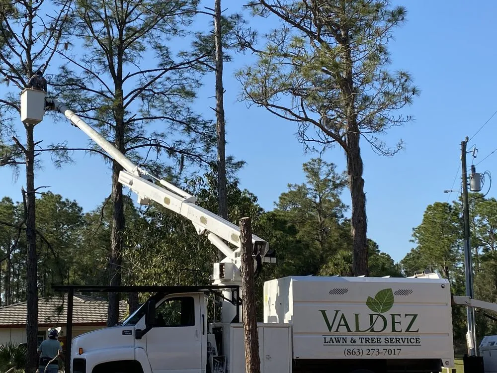 Professional garden landscaping in Frostproof, FL by Valdez Lawn & Tree Service