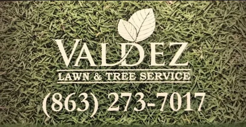 Custom outdoor landscaping in Frostproof, FL by Valdez Lawn & Tree Service