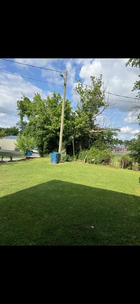 Professional yard cleanup service for homes across Bells, TN - Valdez Verde Vista