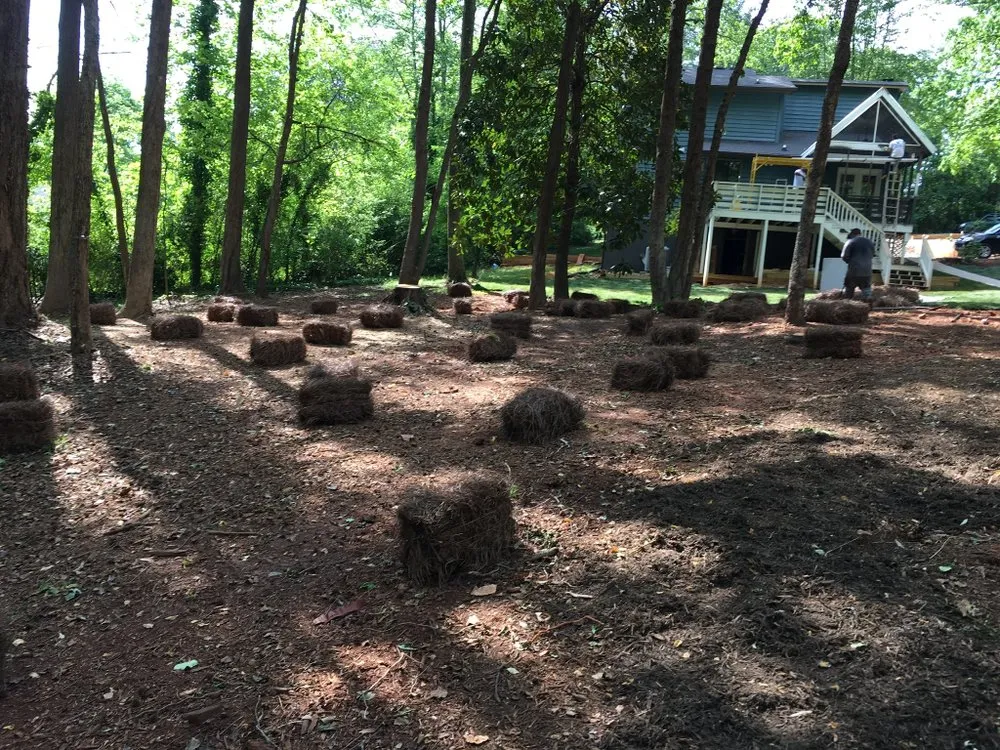 Top-rated residential landscaping in Greenville, SC by Valdivia lawn care