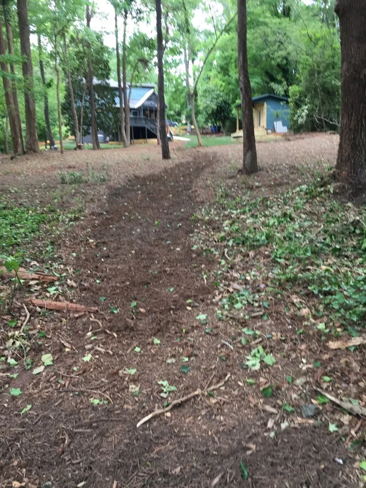 Professional yard cleanup service in Greenville, SC - Valdivia lawn care