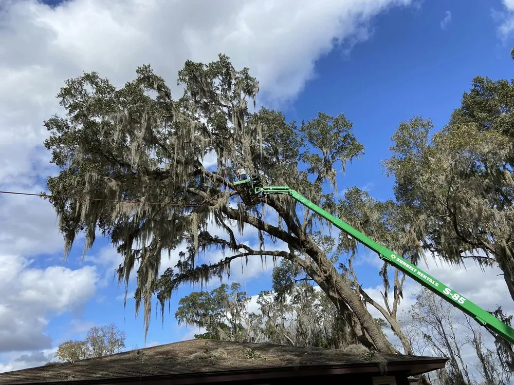 Custom yard cleanup service for residential properties across Hahira, GA - Valdosta Tree Removal