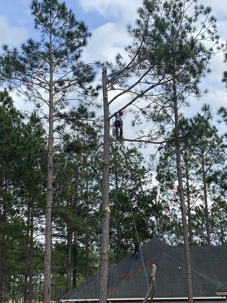 Top-rated garden landscaping in Hahira, GA by Valdosta Tree Removal