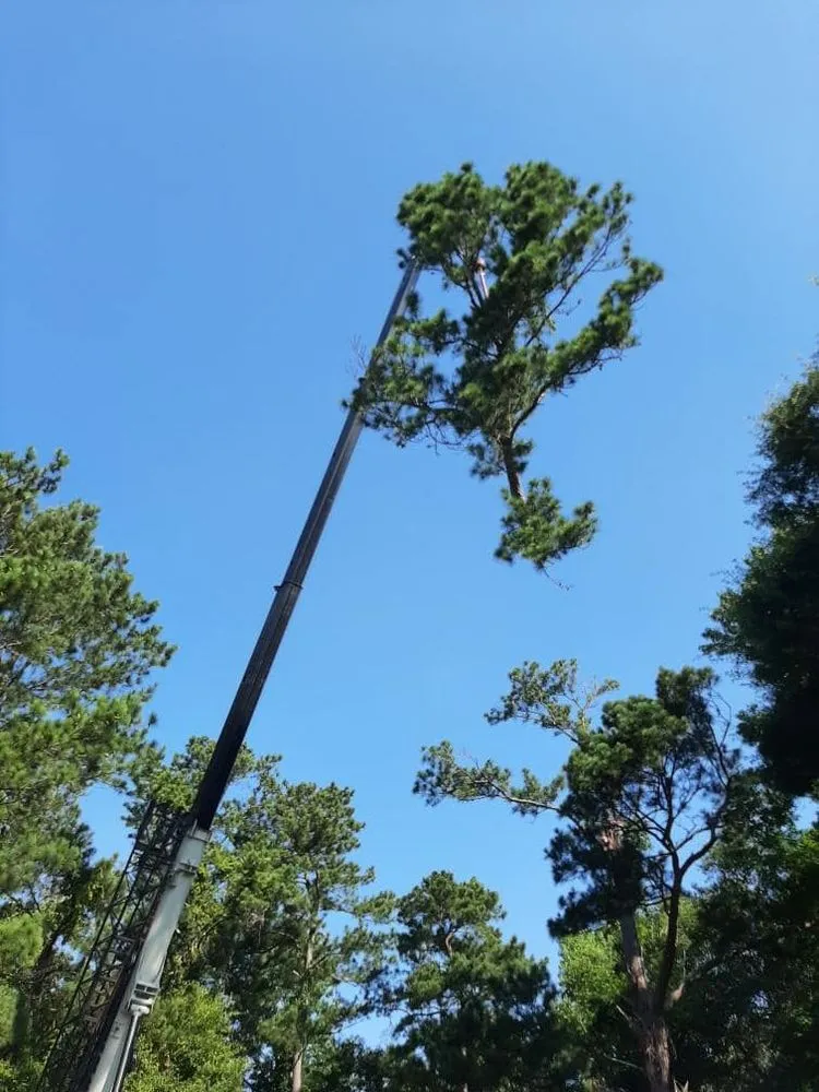 Trusted garden landscaping for beautiful yards in Hahira, GA by Valdosta Tree Removal