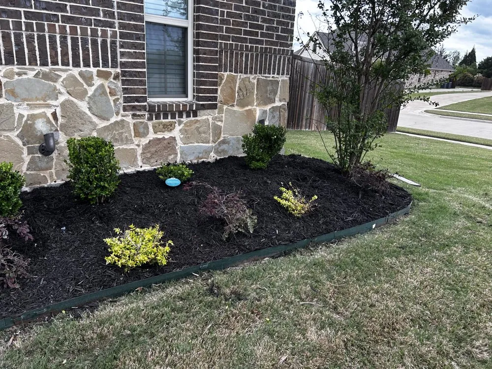 Custom yard maintenance in Sunnyvale, TX - Vale Scapes