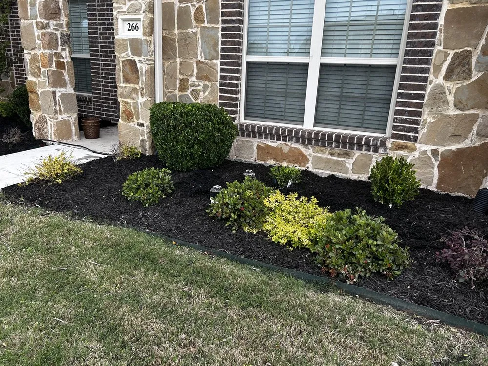 Top-rated landscape installation for year-round maintenance across Sunnyvale, TX - Vale Scapes