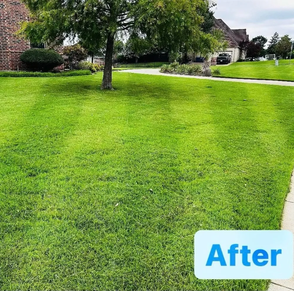 Top-rated landscape installation for homes across Sunnyvale, TX - Vale Scapes