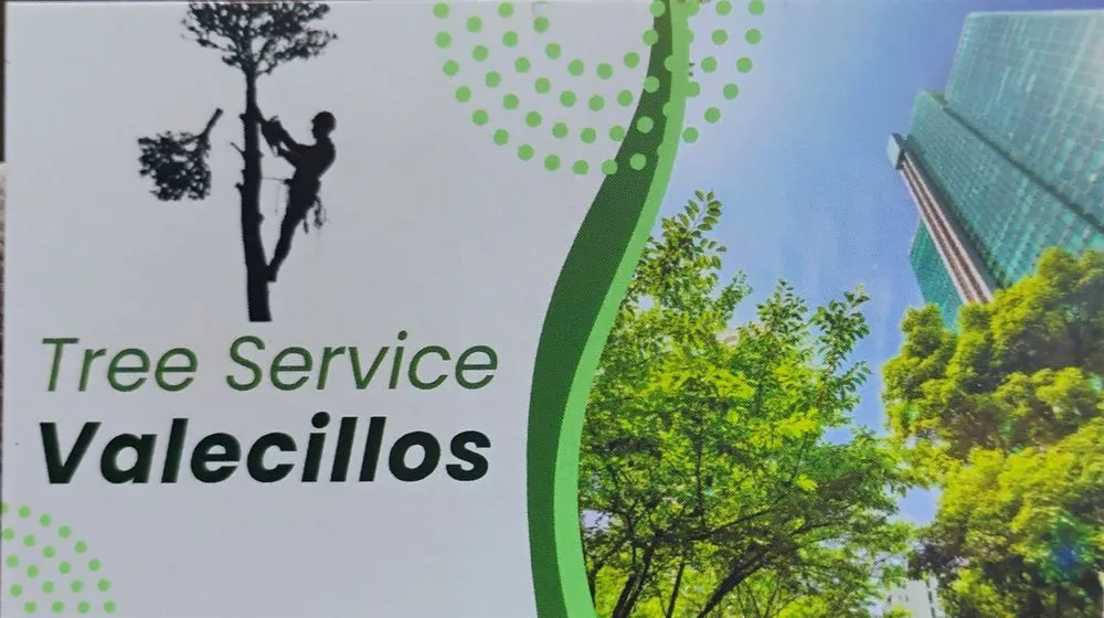 Top-rated landscape installation for homes across Atlanta, GA - Valecillos Tree Service
