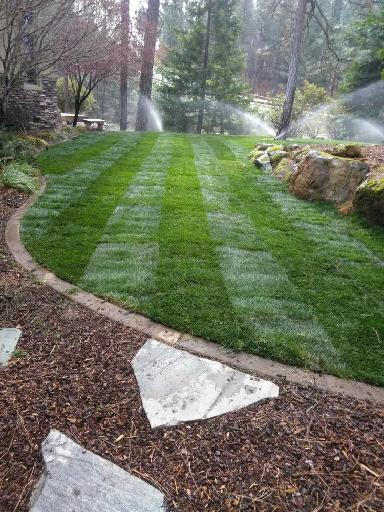 Local landscape installation near you in Sacramento, CA by Valencia Landscape Care