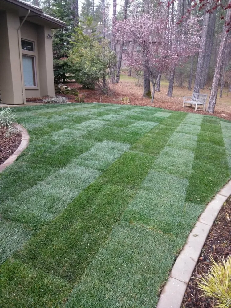 Expert yard maintenance experts serving Sacramento, CA - Valencia Landscape Care