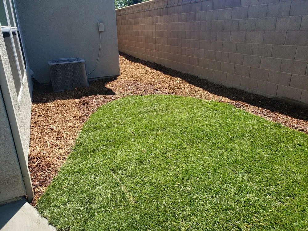 Trusted outdoor landscaping for beautiful yards in Sacramento, CA by Valencia Landscape Care