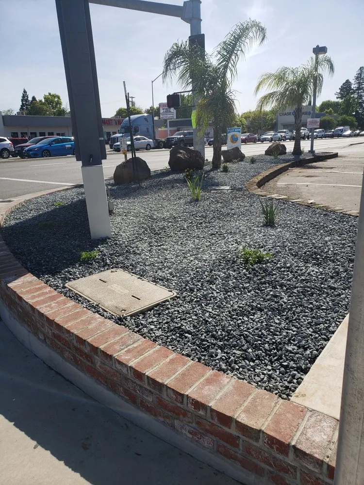 Custom lawn mowing service in Sacramento, CA by Valencia Landscape Care