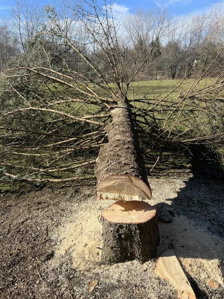 Affordable lawn care service in Mundelein, IL - Valencia Landscapes