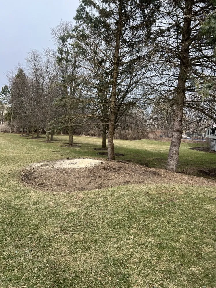 Trusted yard maintenance for homes across Mundelein, IL - Valencia Landscapes