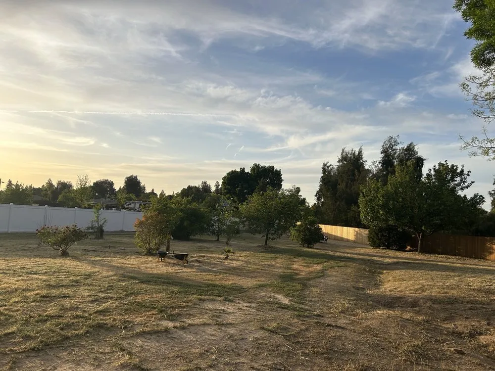 Top-rated garden landscaping for residential properties in Madera, CA by Valencia Landscaping and Tree Services