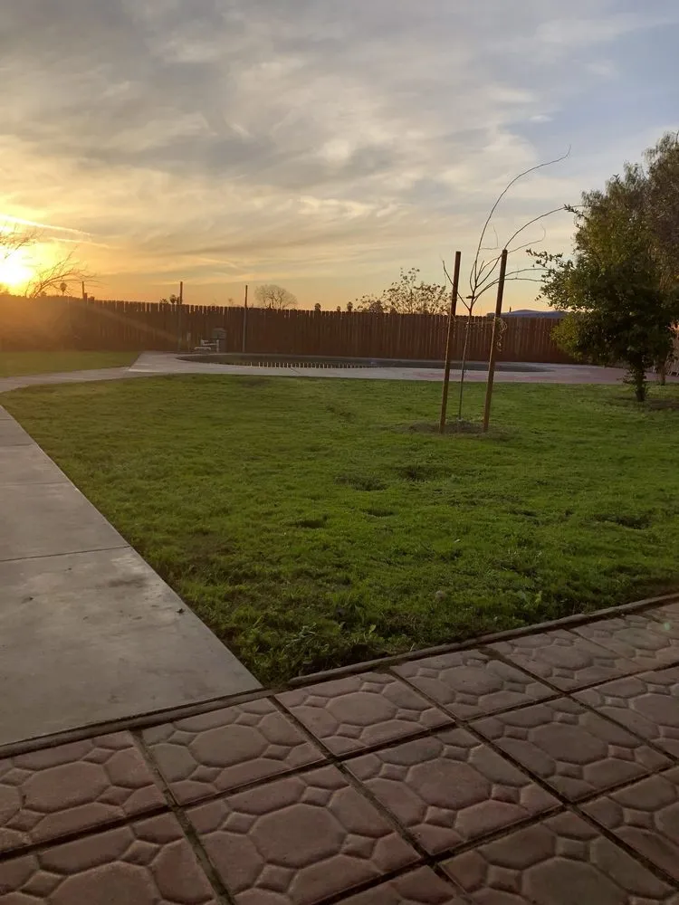 Local yard cleanup service experts serving Madera, CA - Valencia Landscaping and Tree Services