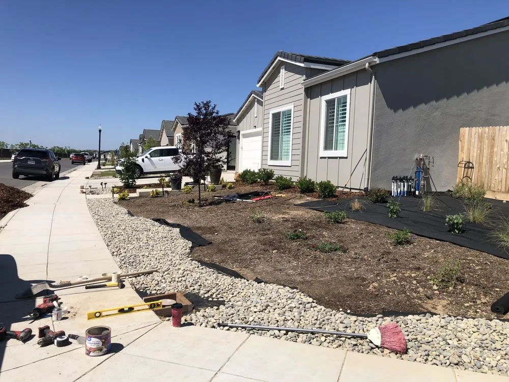 Top-rated yard cleanup service in Madera, CA by Valencia Landscaping and Tree Services