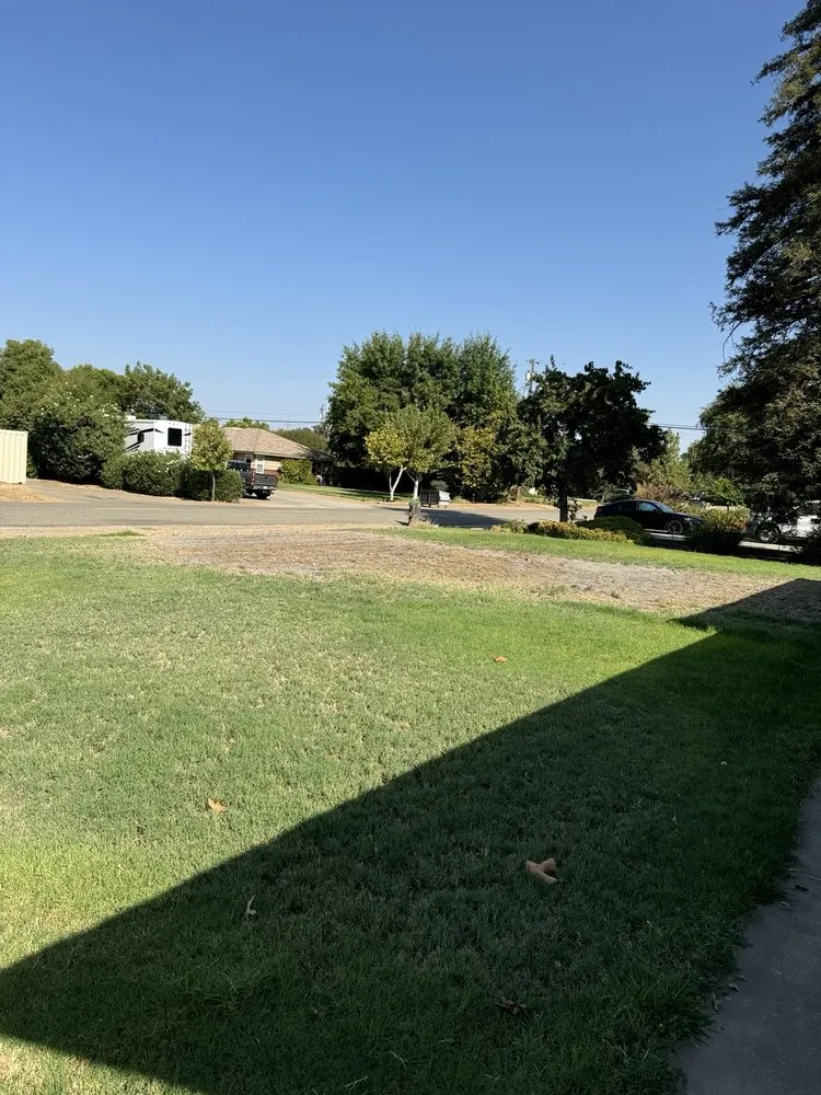 Local outdoor landscaping in Madera, CA by Valencia Landscaping and Tree Services