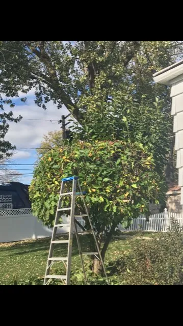 Expert lawn mowing service for homes across Evanston, IL - Valencia Landscaping