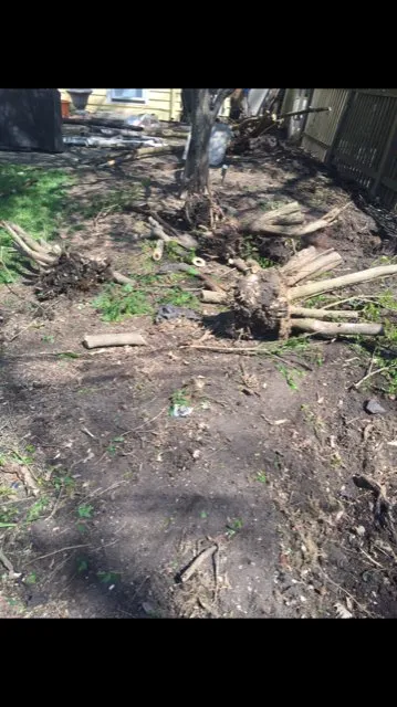 Affordable landscaping services experts serving Evanston, IL - Valencia Landscaping