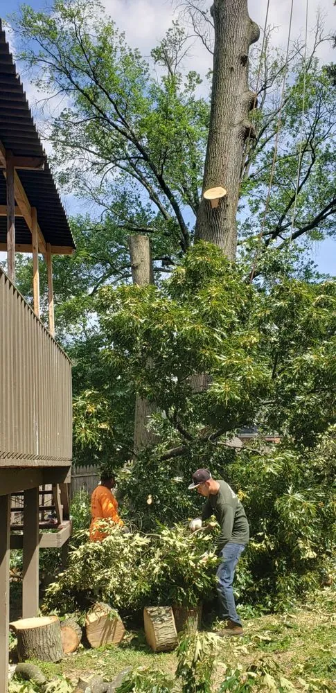 Custom landscaping services with custom design in Lanham, MD by Valencia Landscaping