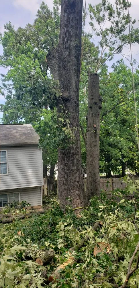 Reliable outdoor landscaping in Lanham, MD by Valencia Landscaping