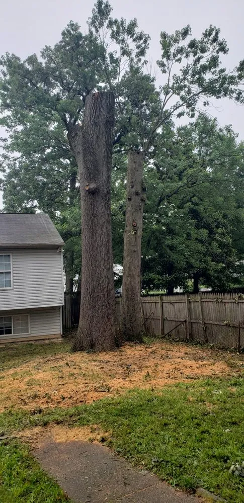 Top-rated residential landscaping for homes across Lanham, MD - Valencia Landscaping