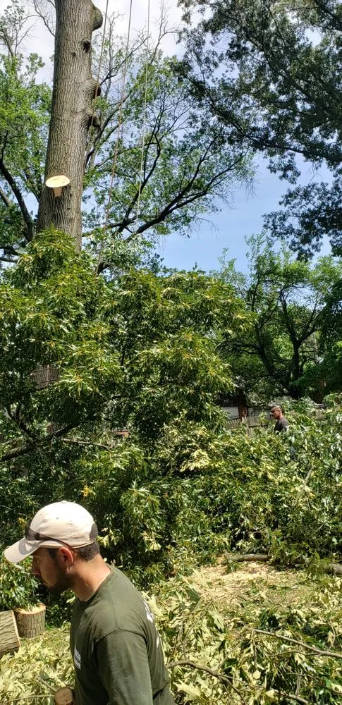 Local lawn mowing service experts serving Lanham, MD - Valencia Landscaping