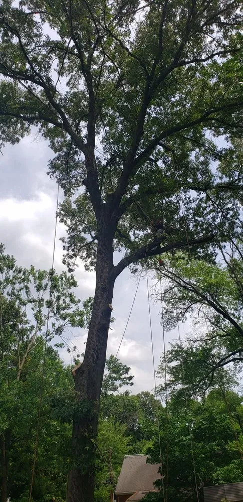 Expert garden landscaping experts serving Lanham, MD - Valencia Landscaping