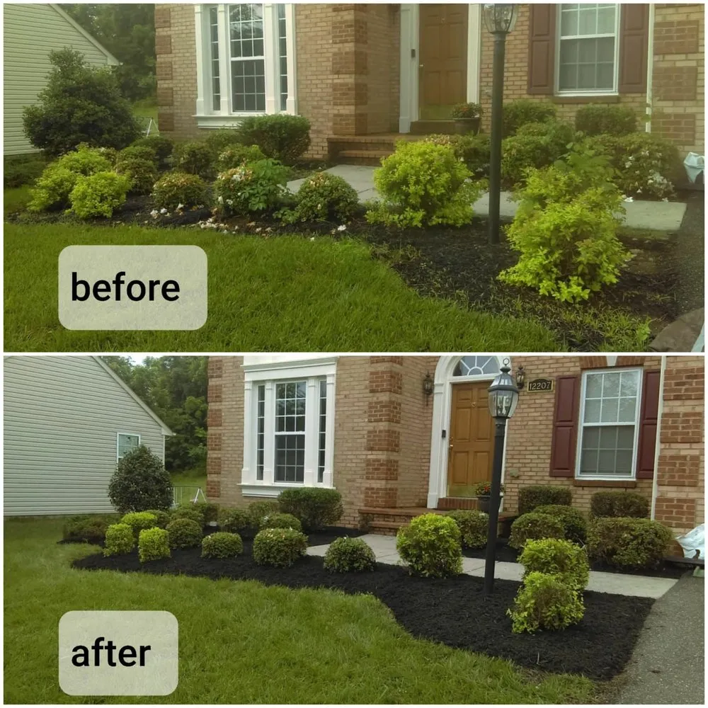 Top-rated yard cleanup service in Lanham, MD by Valencia Landscaping
