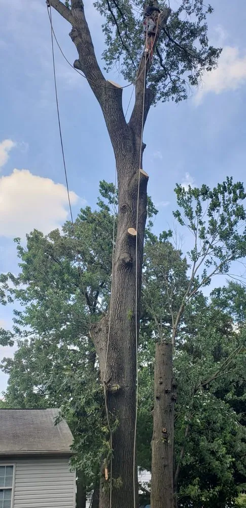 Custom yard maintenance in Lanham, MD by Valencia Landscaping